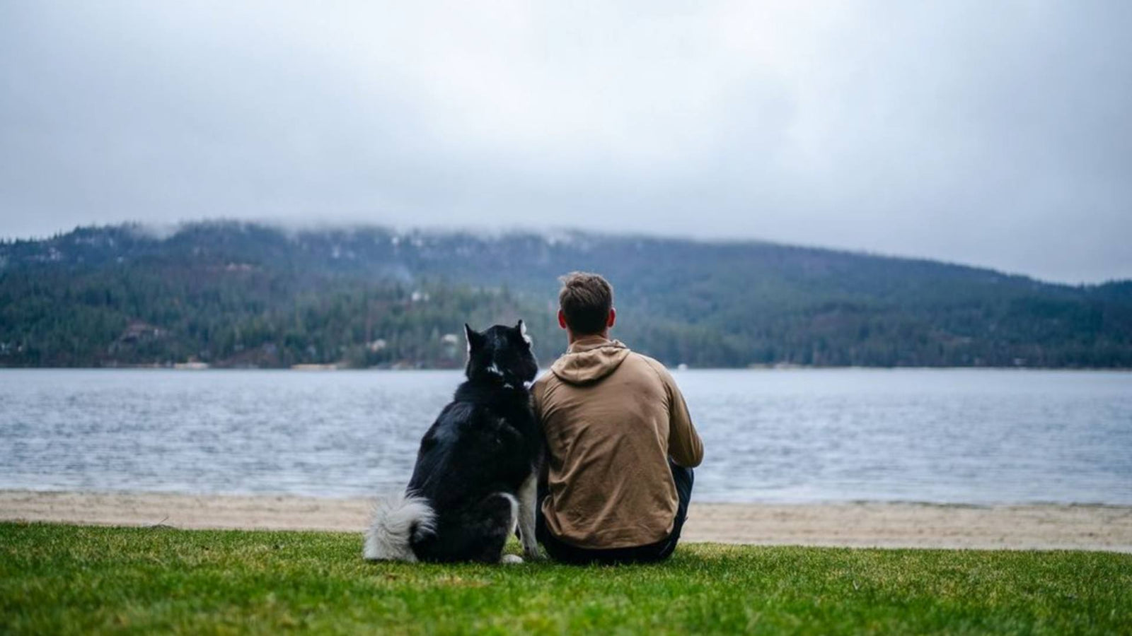 A man who is wearing a tan raincoat sits on the green grass. His Husky dog sits closely next to him on his left. There is sand is front of them, and a blue lake beyond the sand. Lining the lake are green trees and it is foggy and gray outside.