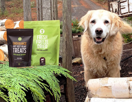 An older dog stands smiling next to holiday decorating with pets snacks from Get Joy on top!