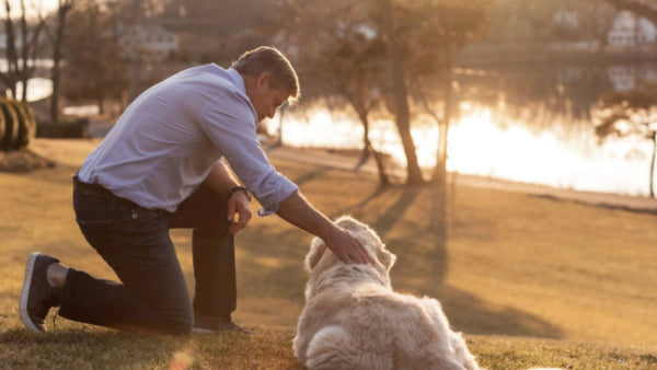 A man and his dog sit outside on the grass in the sunset lighting. He is petting his dog. This photo demonstrates a dog digestive disorder.