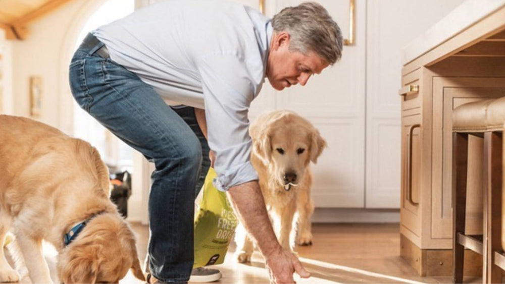 A dog owner feeds their dog DIY healthy treats.