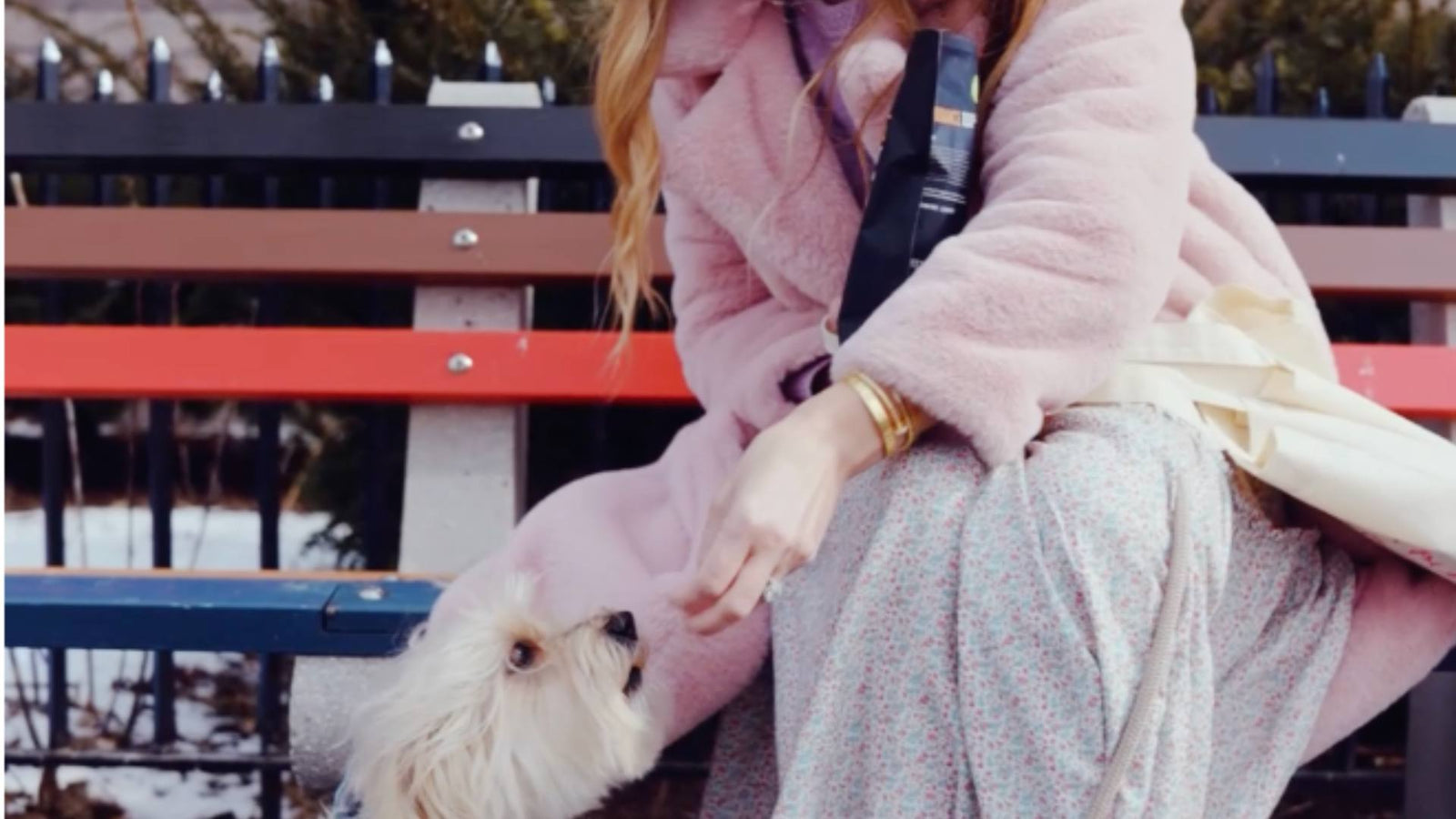 A small white dog gets fed a delicious Get Joy dog treat while its owner wears a pink jacket and sits on a colorful bench.