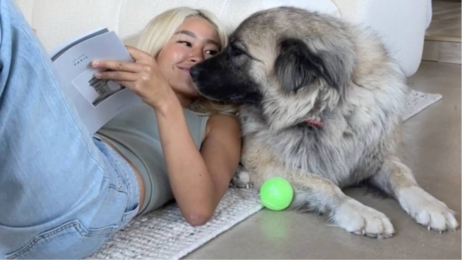 A dog sits next to its owner and a tennis ball while the owner reads and smiles.