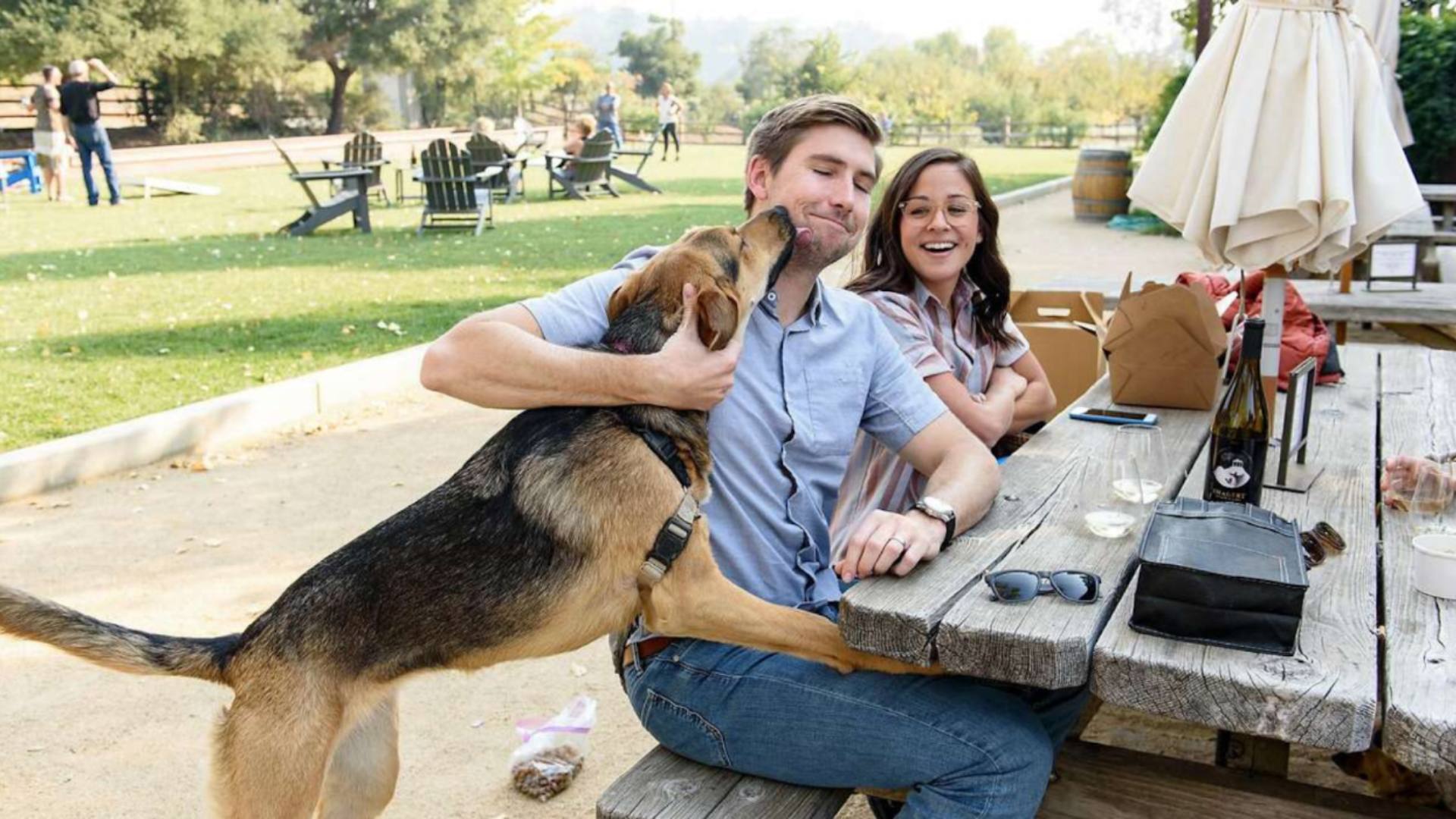 Pet friendly wineries near cheap me