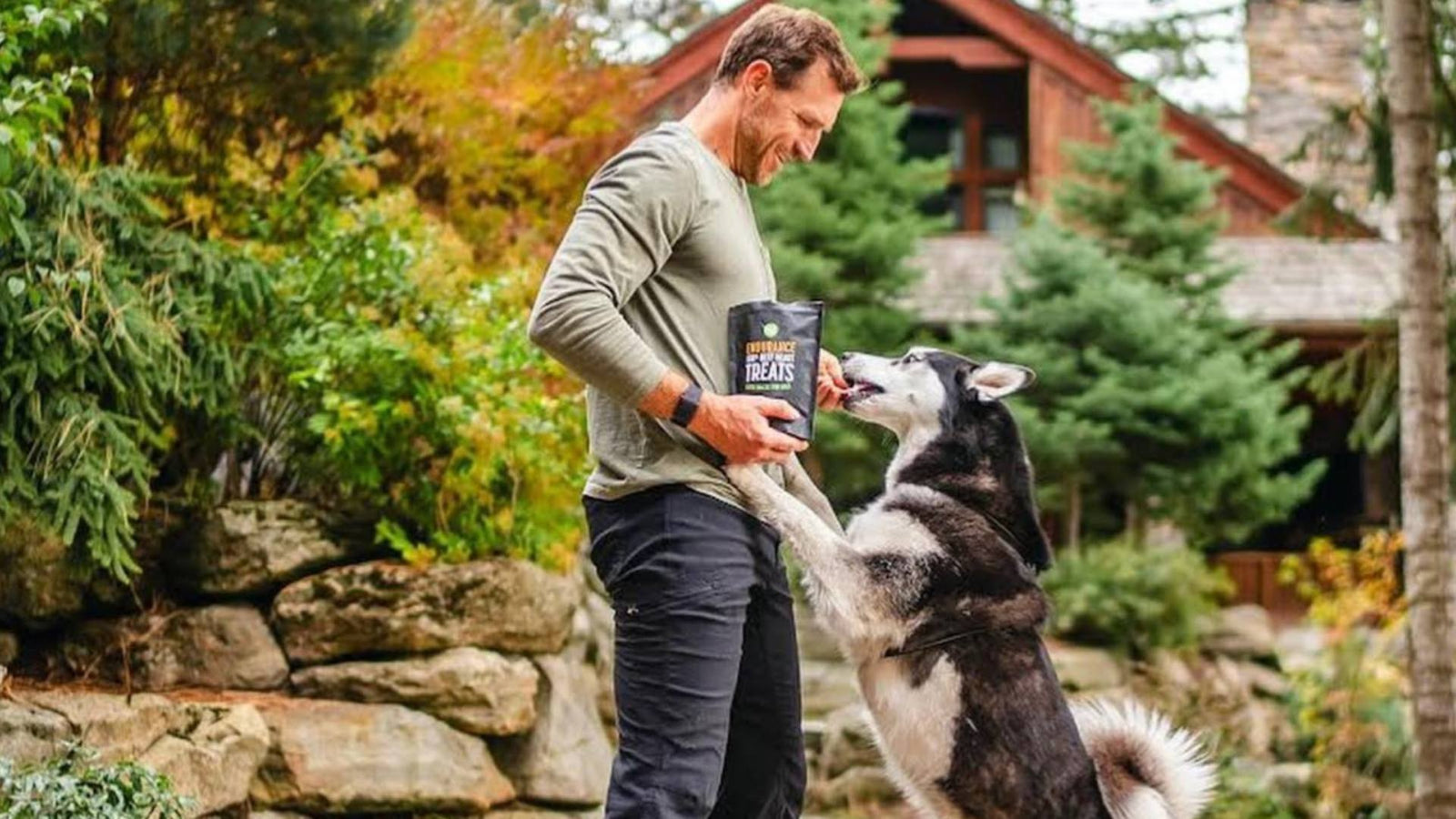 A Husky dog stands on its hind legs and eats a Get Joy treat from his owners hand.