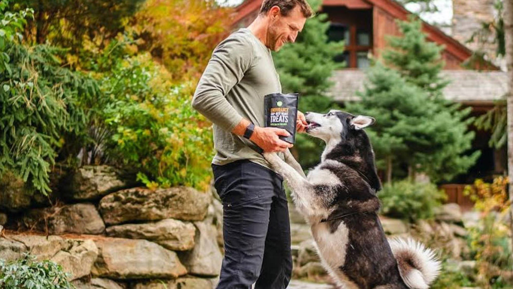 A dog stands up on its owner, demonstrating successful dog training with treats.
