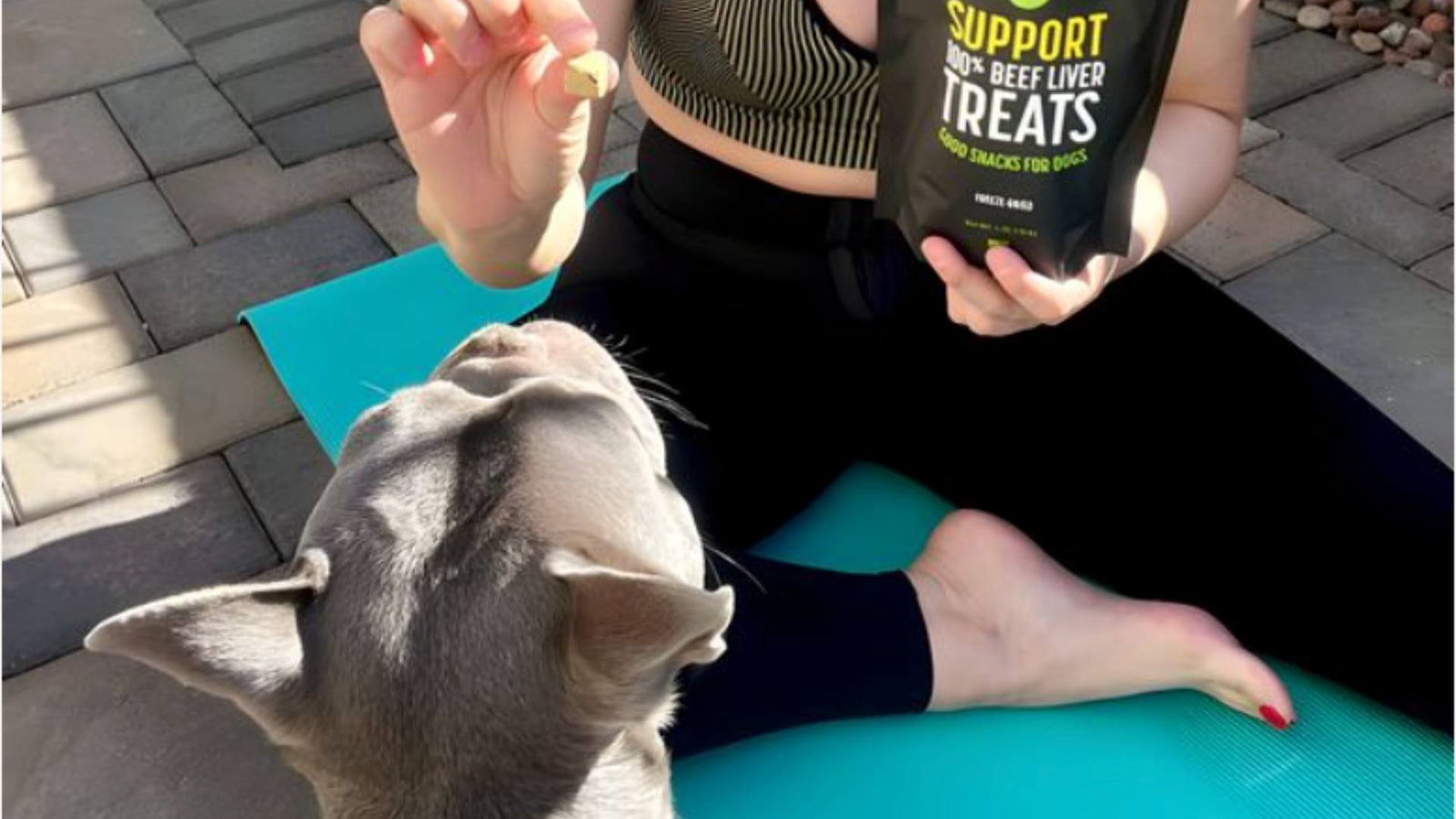 A person sits on a teal yoga mat, demonstrating Doga, while holding a black bag of Get Joy's dog treats and holding up a treat to a gray french bull dog in front of her.