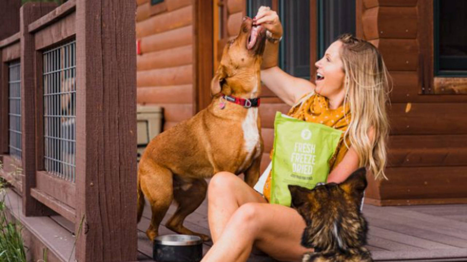 A blonde woman sits on the steps of a cabin while happily giving her dog a treat while smiling. One dog sits next to her while the other eat the treat.