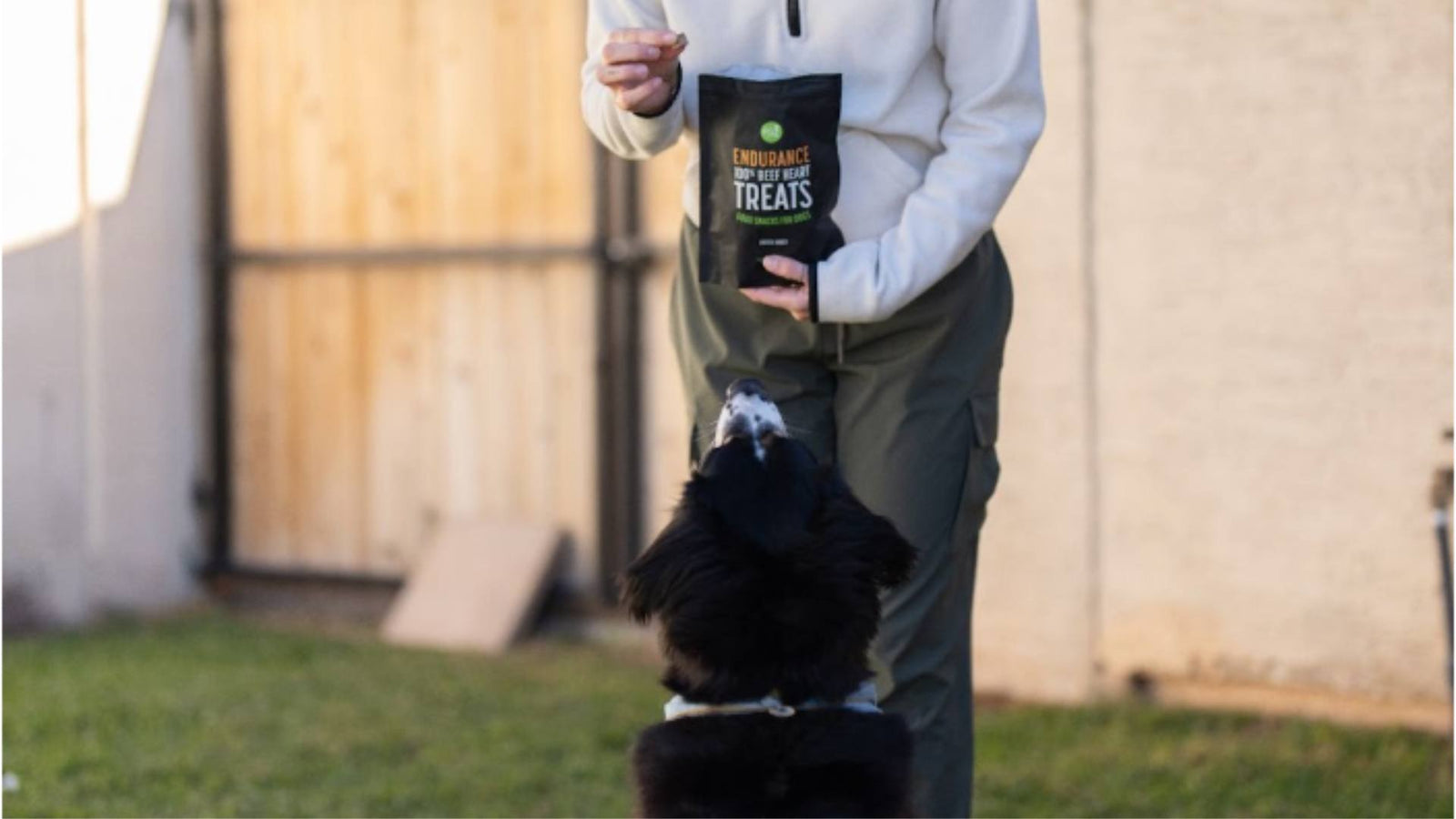 A person holds Get Joy's dog treats during an enrichment activity with a black lab dog.