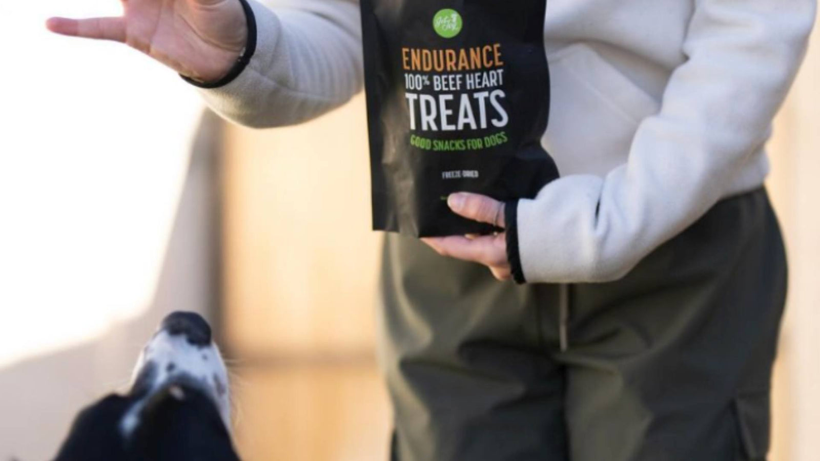 A person stands holding Get Joy's dog treats. A black and white dog stands below their hand and sniffs the treat.