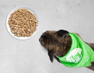 Fresh Get Joy vs. Common Kibble