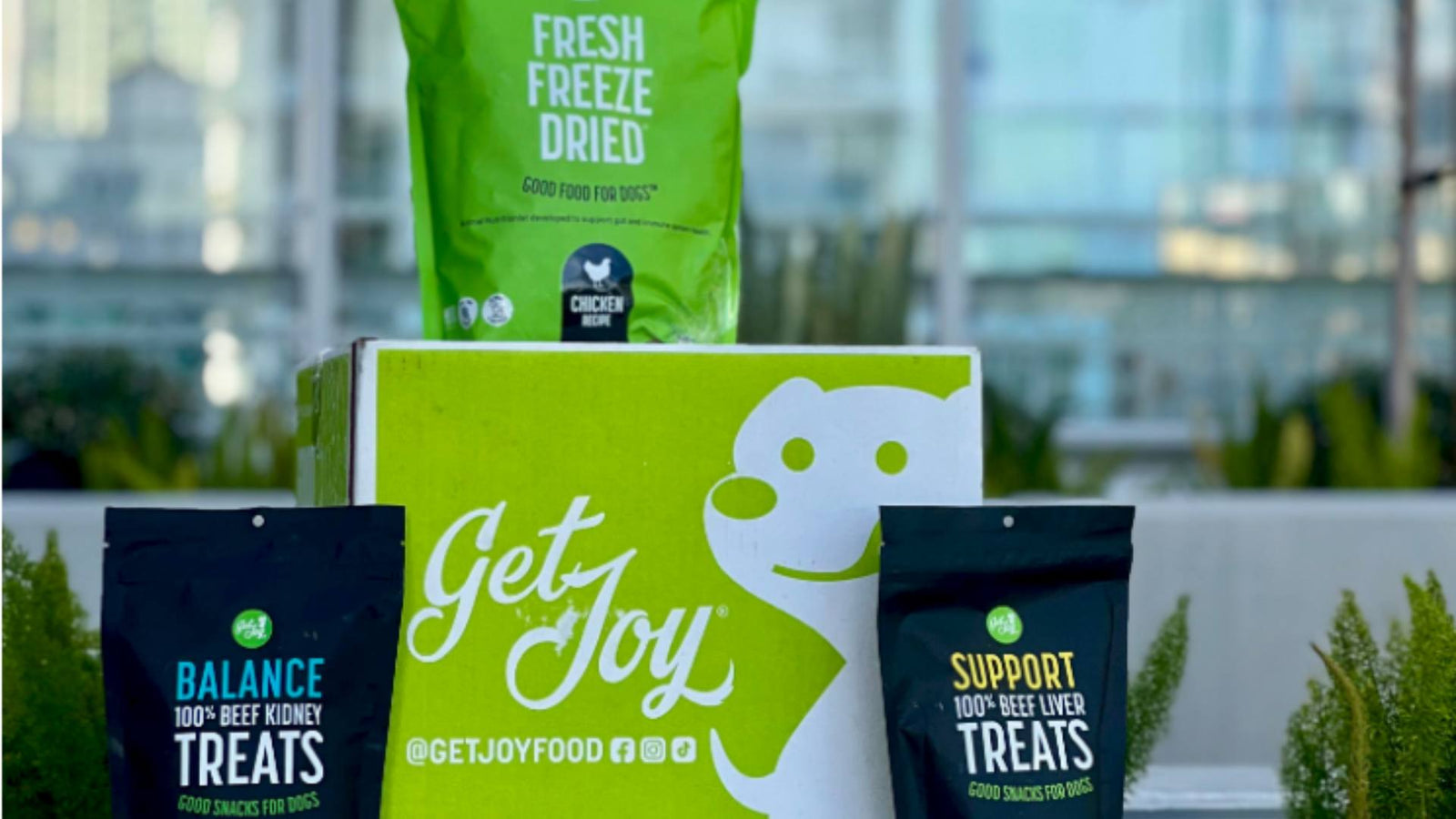 A big green box of Get Joy's food is displayed, with three separate bags of food and treats sitting next to it and on top of it.