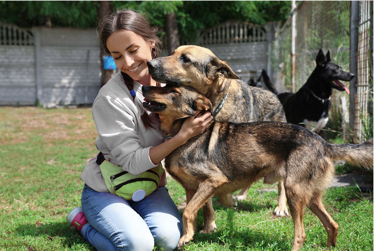 A woman gives two dogs a hug!