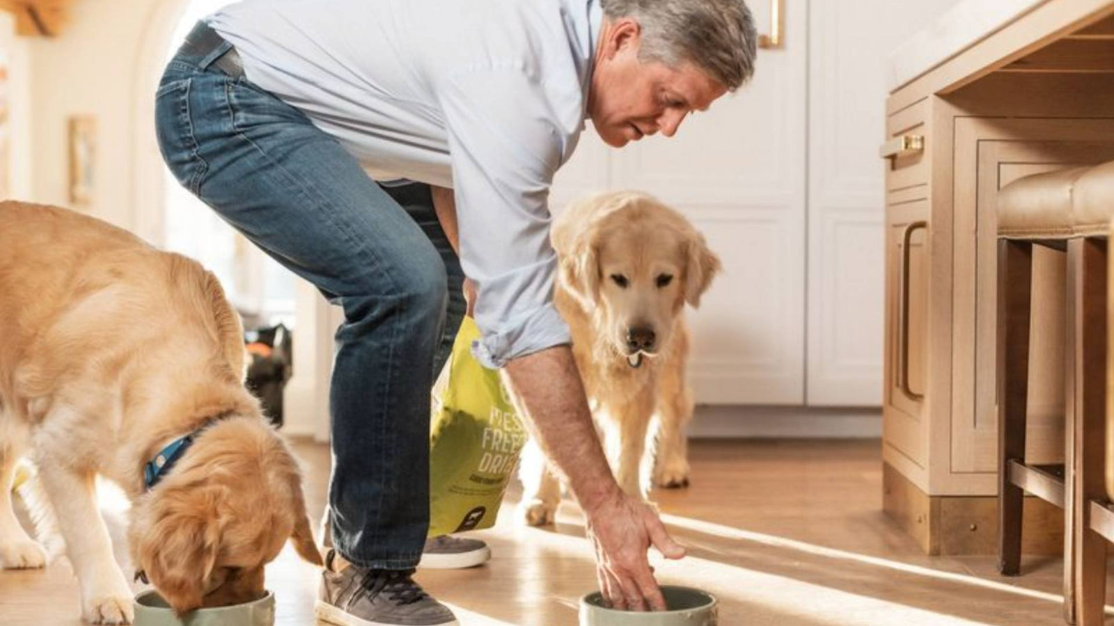 A man puts a dog bowl full of Get Joy's fresh dog food on the floor as a dog approaches the bowl. Another dog to the left is eating out of his bowl.