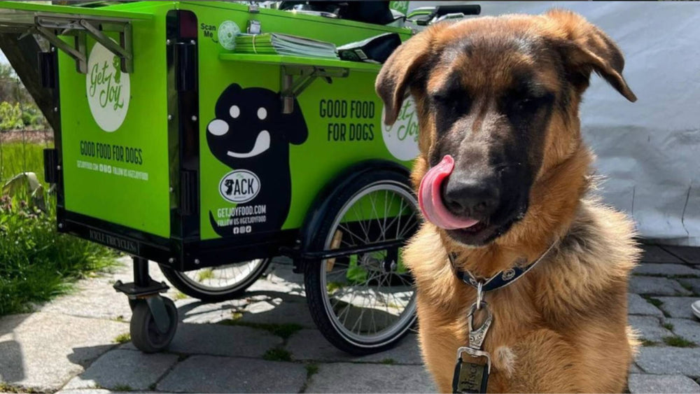 A dog sits in front of a Get Joy food and treat cart, demonstrating food that is great for doggy gut health.