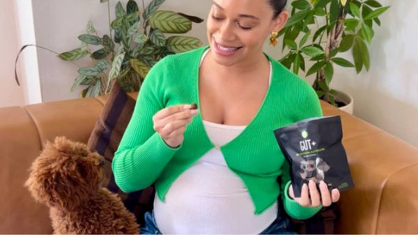 A woman wearing a green sweater sits on a couch and smiles as she holds up a black bag of Get Joy's Gut+ supplements for dog gut health.