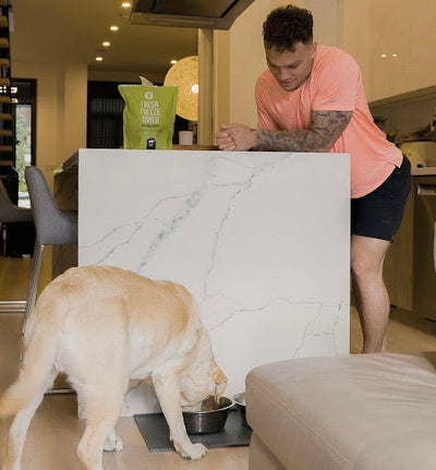 A dog eats happily from their bowl of Get Joy as their owner watches on. Image to demonstrate a happy Hanukkah dog getting their treats!