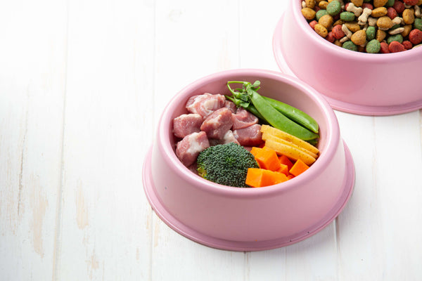 Raw Diet vs Gently Cooked Dog Food