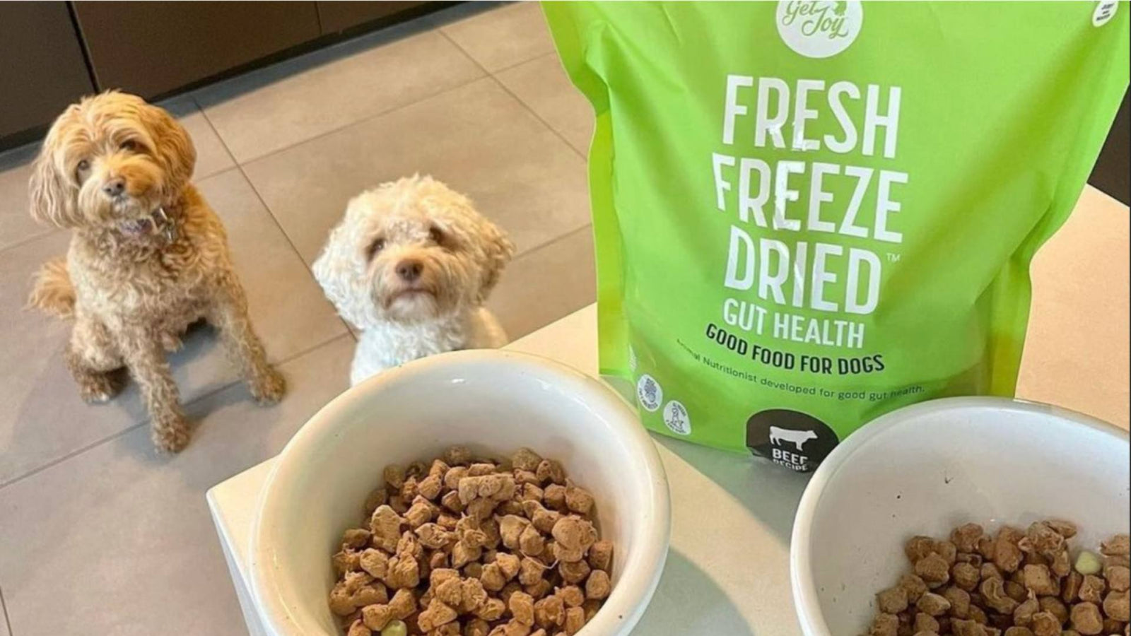 Two puppies wait patiently for their healthy dog food, which is Get Joy's fresh freeze dried meals.