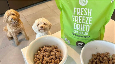 What is Considered Healthy Dog Food + How To Tell the Difference