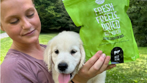 A girl holds a small puppy and a green bag of Get Joy's fresh freeze dried food.
