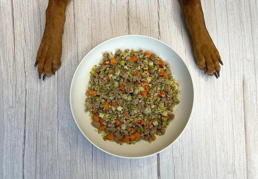 A dog's paws sit on either side of a bowl of Dog Food. Picture is meant to illustrate the question "How Much Fiber Do Dogs Need in Their Food?"