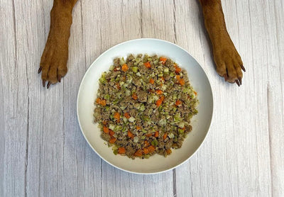 How Much Fiber Do Dogs Need?