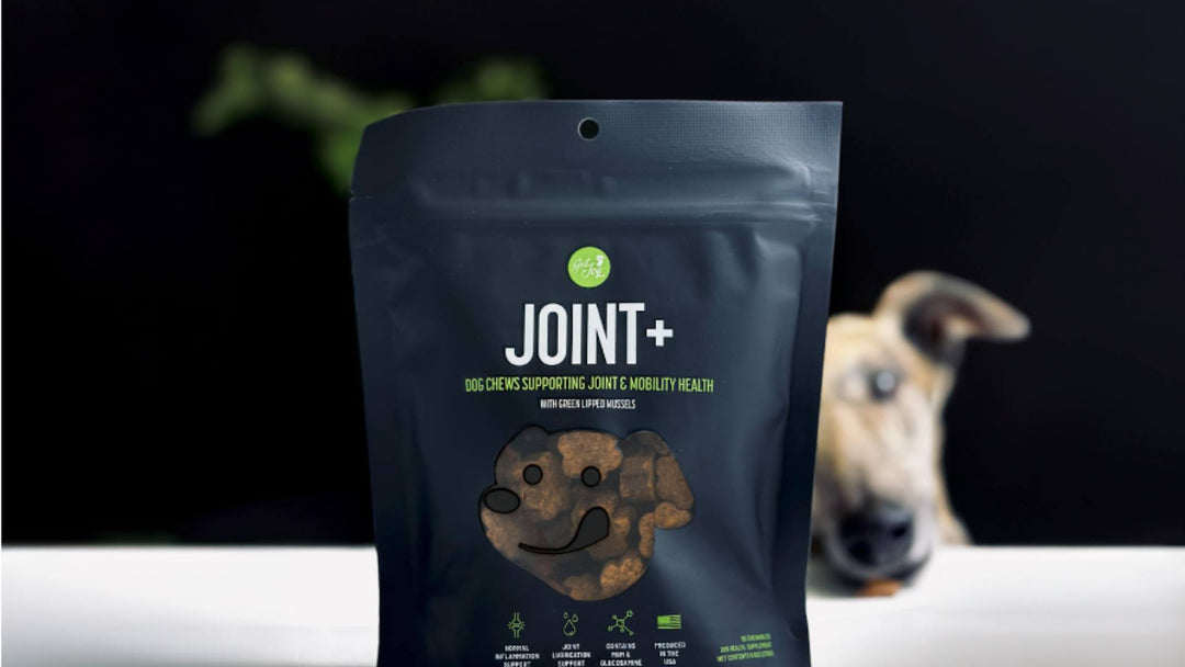 The Get Joy Joint+ supplement bag is displayed on a white table. The background is black, and a green plant sticks out along with a dog's face.