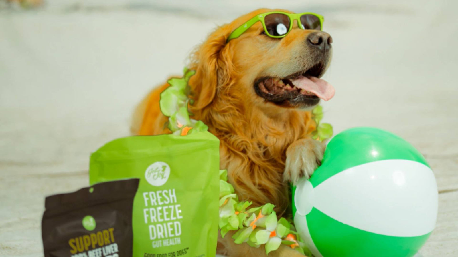 A golden retriever wearing green sunglasses and a green lei sits next to a beach ball, a green bag of Get Joy food, and a black bag of Get Joy's dog treats for Labor Day Weekend activities.