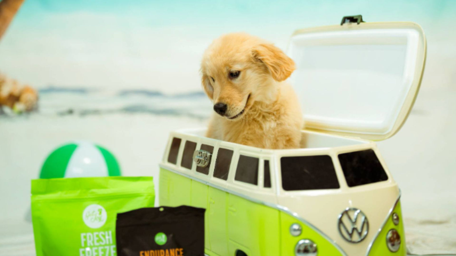 A puppy sits in a miniature green and white VW bus. The background is a sandy beach tapestry, demonstrating preparations for Labor Day Weekend.