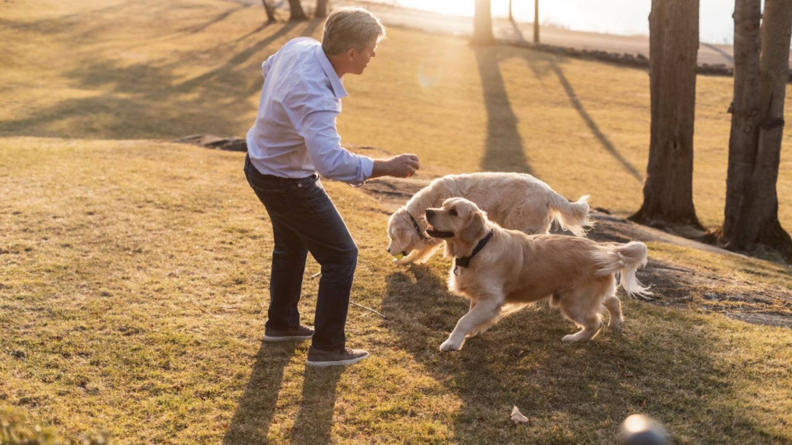 A man stands outside with his two dogs and plays with them as the sun sets.