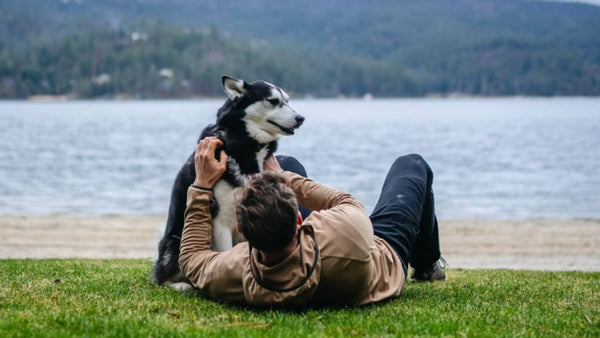 A man lays on grass next to his Husky dog, who sits comfortably beside him. There is a body of water and mountains in the background.