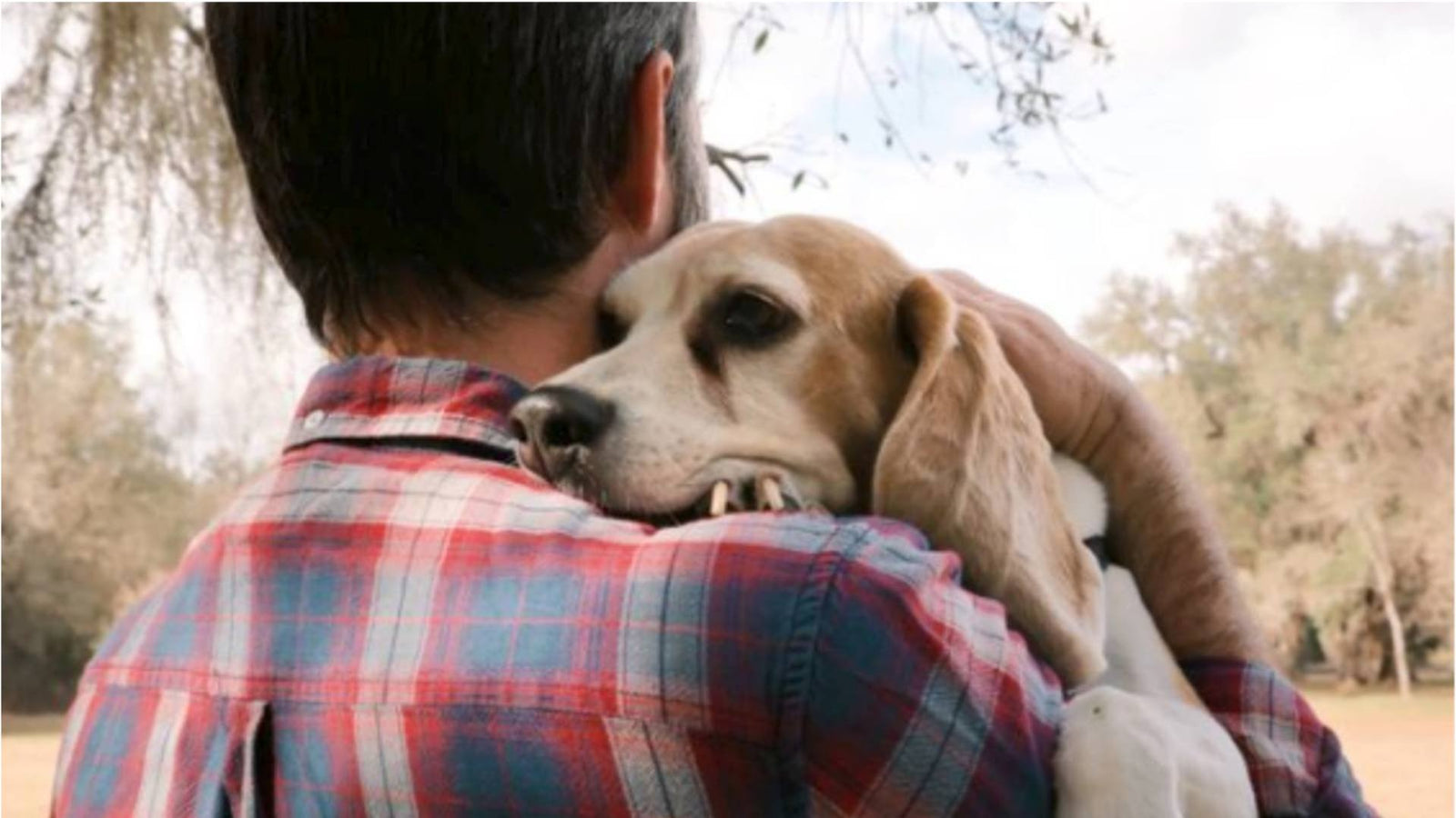 A senior dog is being held by his owner and rests his head on his owners shoulder. His owner is wearing a red plaid shirt.