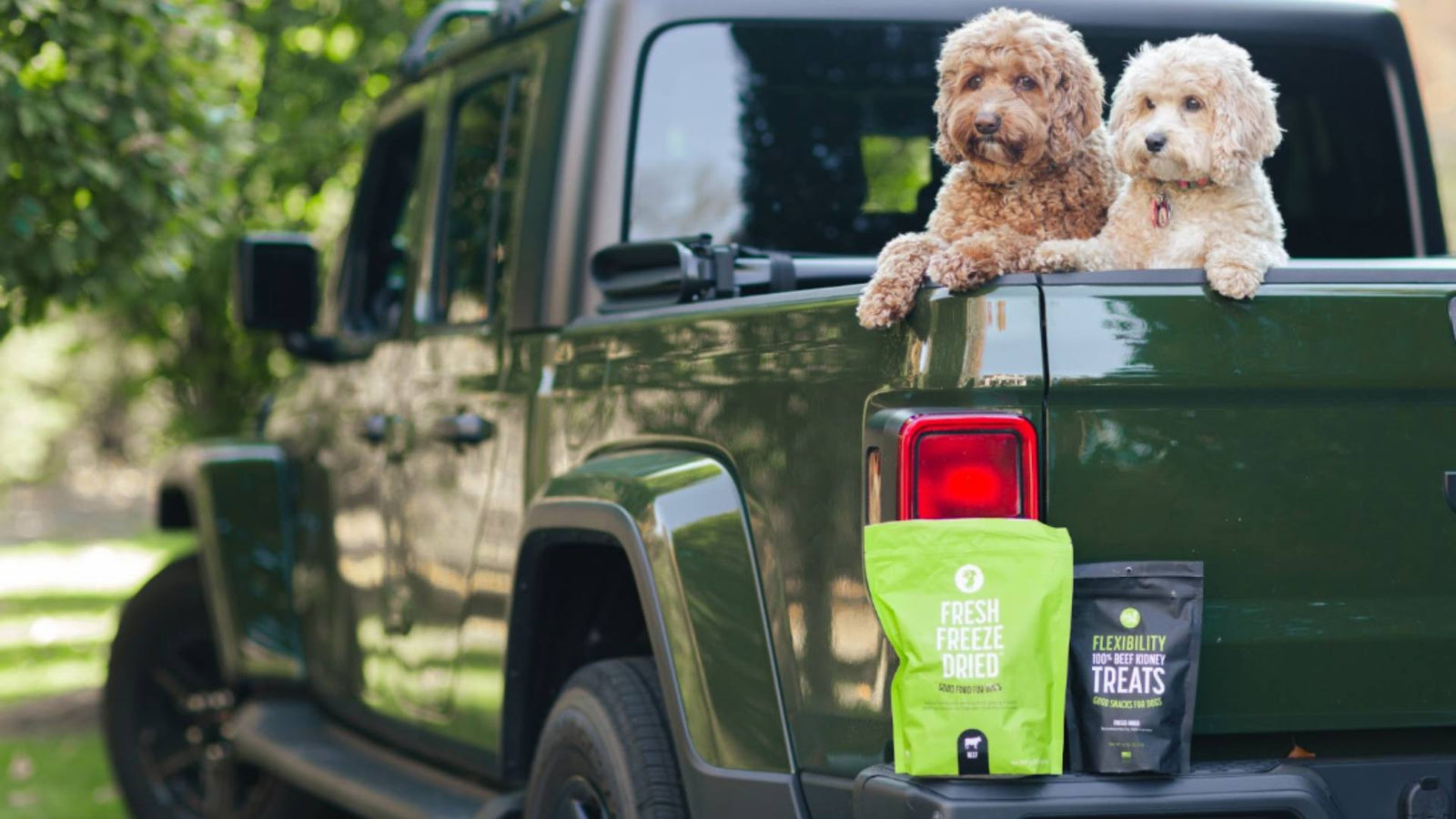 Two puppies sit in the back of a green Jeep. Bags of Get Joy's fresh freeze dried food and treats are also on the car.