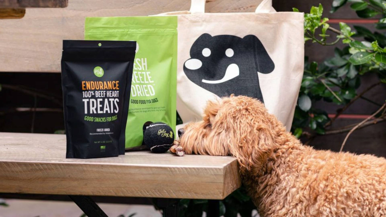 A fluffy dog puts his chin on a bench next to a cream-colored Get Joy tote bag, a black bag of Get Joy dog treats, and a green bag of Get Joy's fresh dog food.