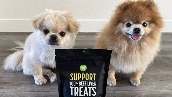 Two small dogs sit in front of one black bag of Get Joy treats.