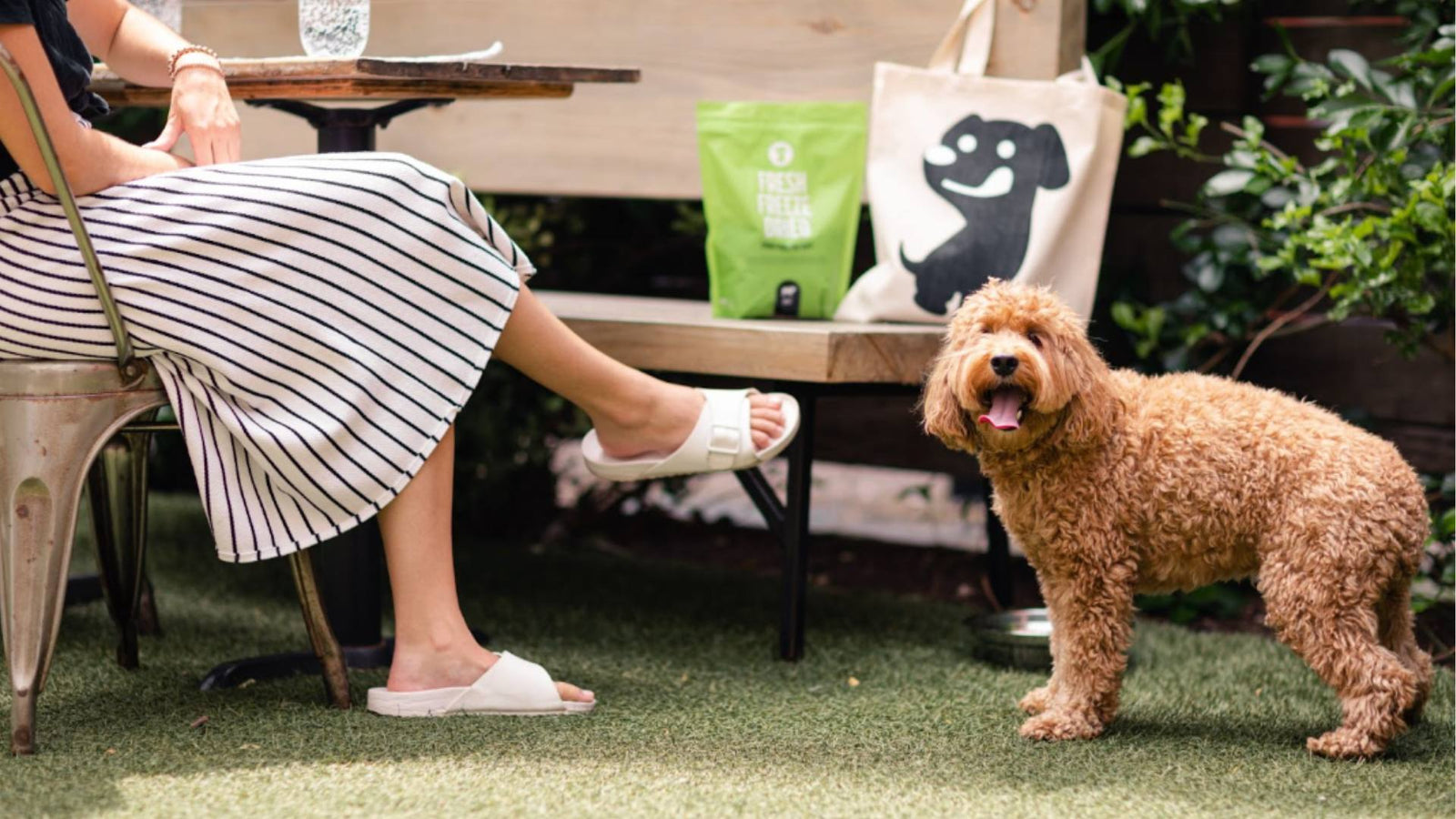 A person sits wearing a skirt next to a puppy on the grass. A Get Joy tote bag and green bag of fresh freeze dried food is displayed.