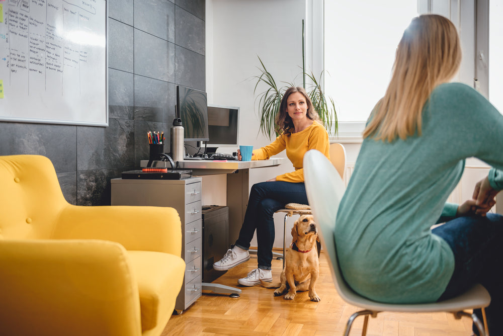 Let’s Celebrate Our Pets at Work!