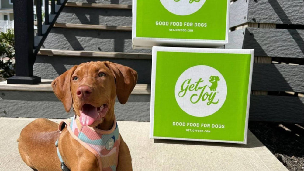 A tan dog happily stands in front of two green Get Joy product boxes for National Spoil Your Pet Day.