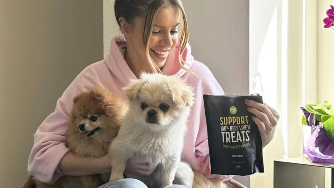 A woman wearing a pink hoodie sits in a chair and holds two small, fluffy dogs - one white, one tan. She smiles and holds a black bag of Get Joy's dog treats in her other hand.