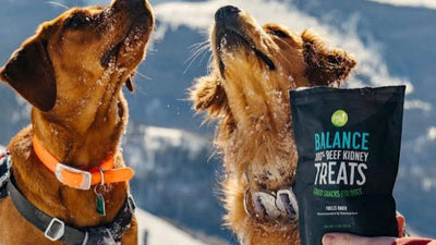 Two dogs stand outside in the sun next to a bag of Get Joy's dog treats.