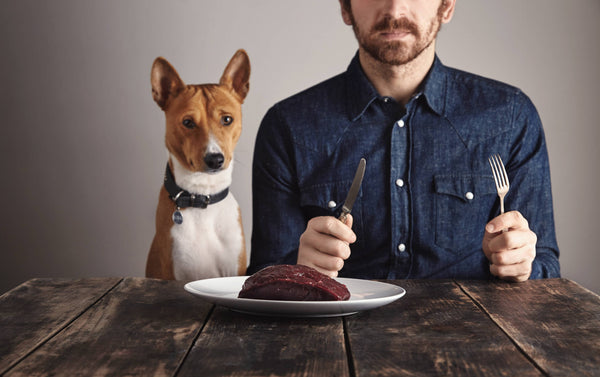 Can Humans Eat Dog Food