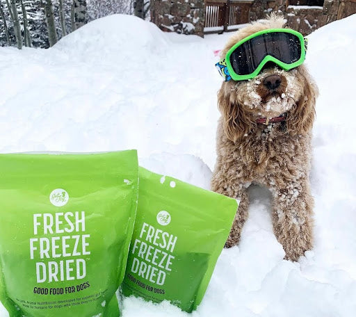 A fuzzy dog sits in the snow wearing snow goggles and Freeze Dried Treats from Get Joy! Concept to show one of the many options for gifts for dog lovers!