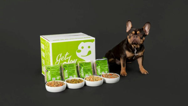 Against a black background, a small dog sits to the right of a green box of Get Joy's fresh meal products. There are four white bowls displayed with the meals in them.