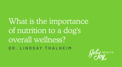 What is the importance of nutrition to a dog's overall wellness?