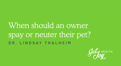 When should an owner spay or neuter their pet?
