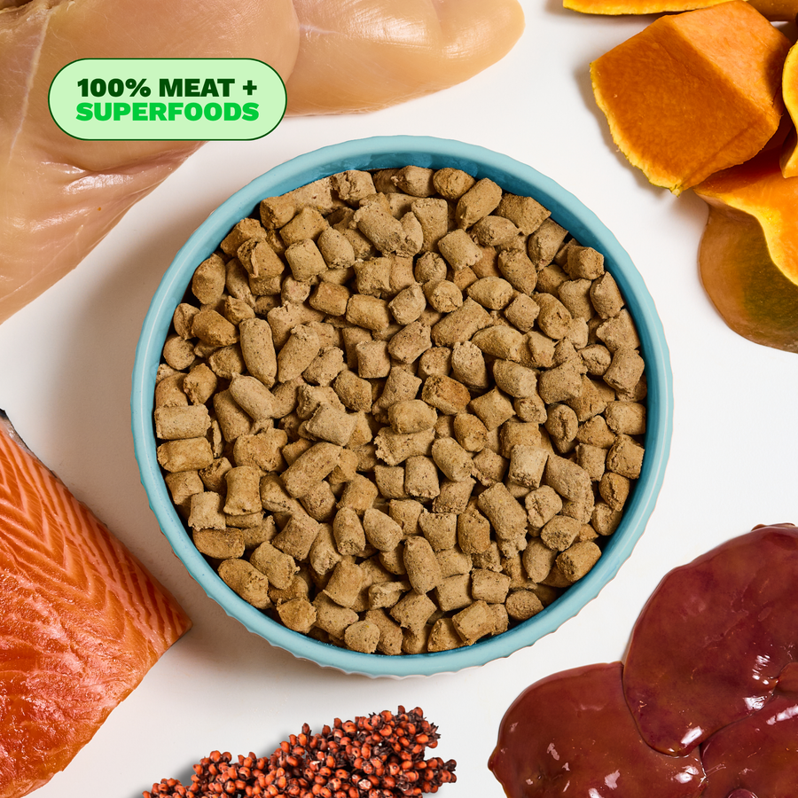 Get Joy Freeze-Dried Raw Meals Chicken — whole food ingredients, gut-healthy dog nutrition | #flavor_chicken