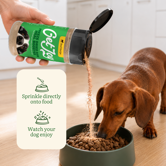 Get Joy Booster shaken on top of a dog food bowl
