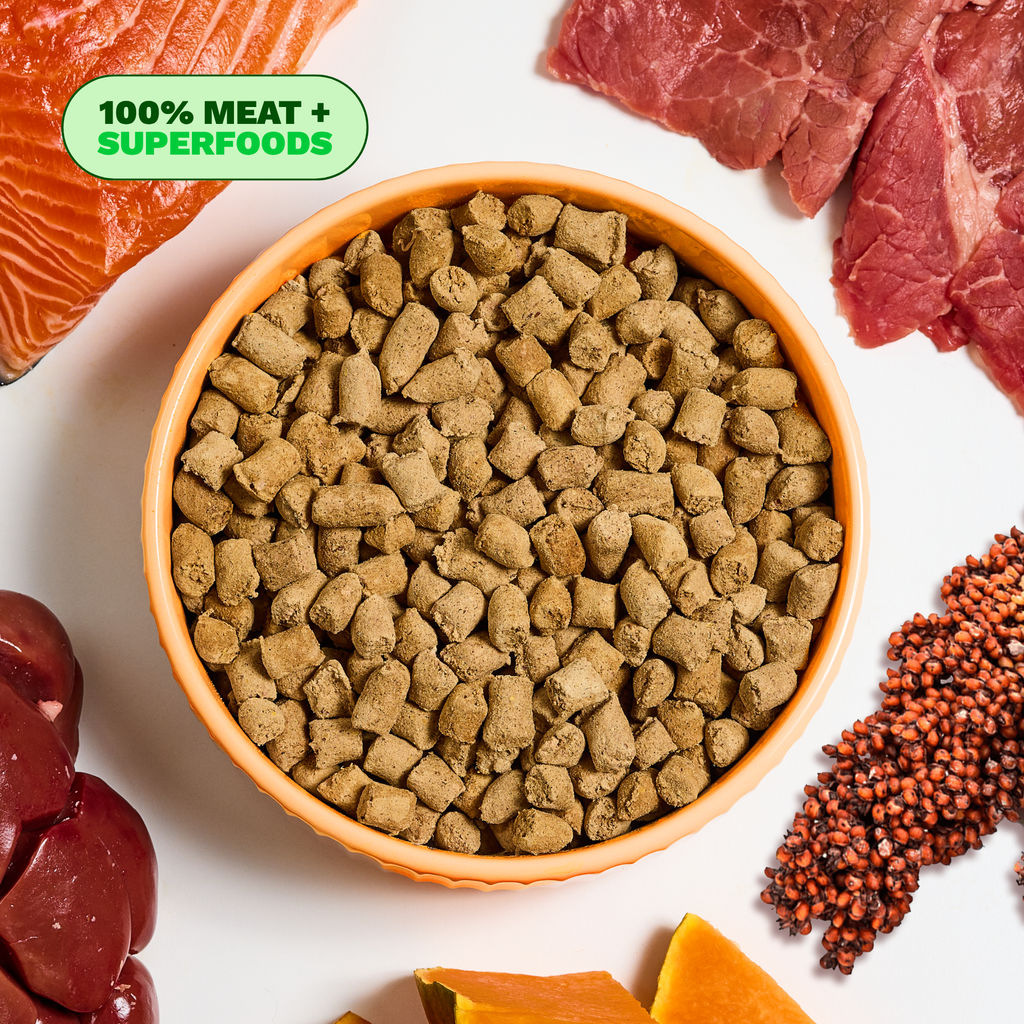 ドッグフード joycemama Freeze-Dried Wild-Caught Salmon Treats for ドッグフード joycemama Freeze-Dried Wild-Caught Salmon Treats for