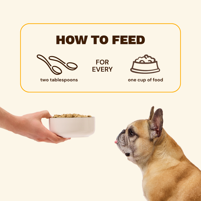 High-protein dog food topper with Belly Biotics gut support