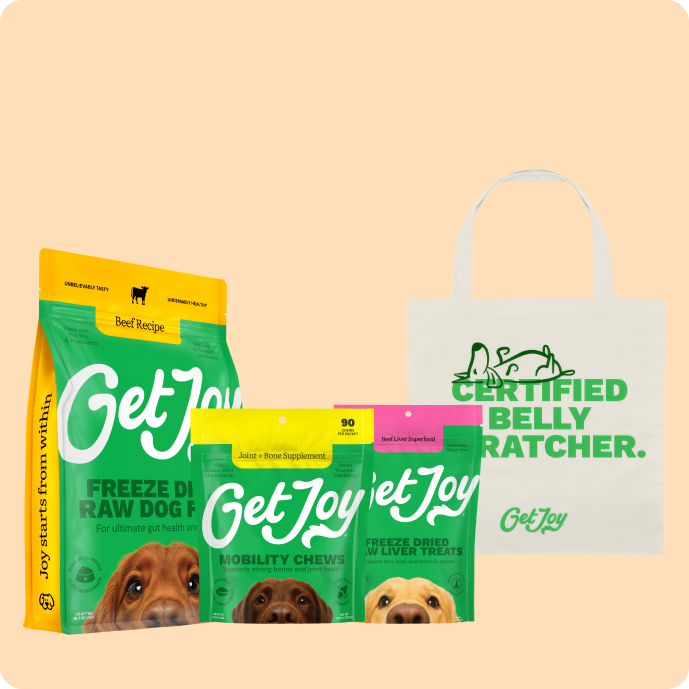 Active Dog Bundle